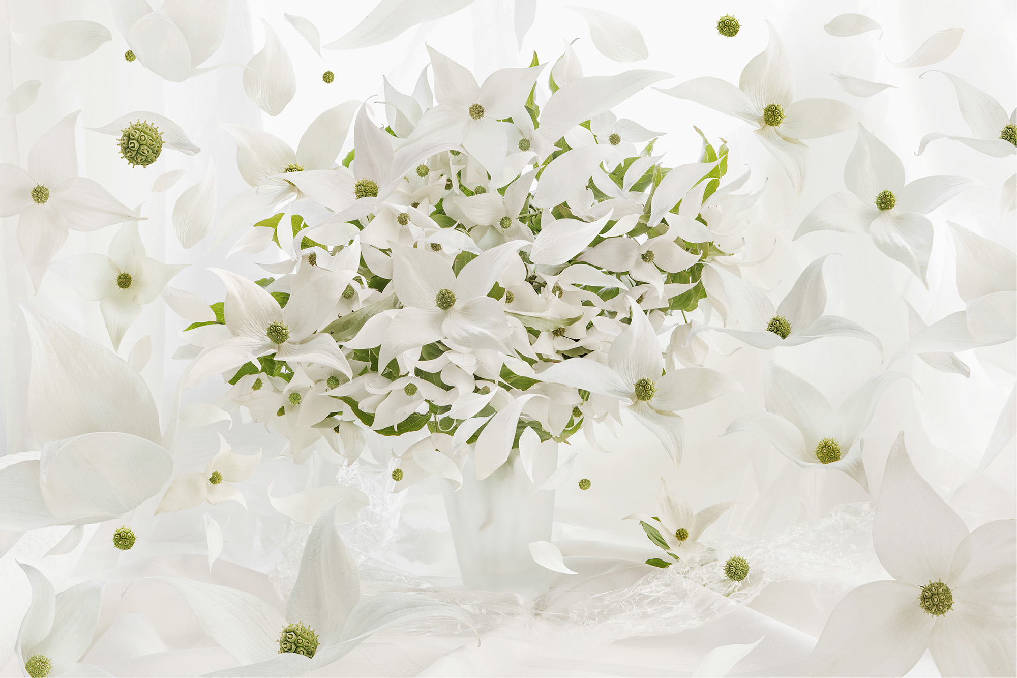 Albert Winkler Die Kunst der Ruhe ip.forum